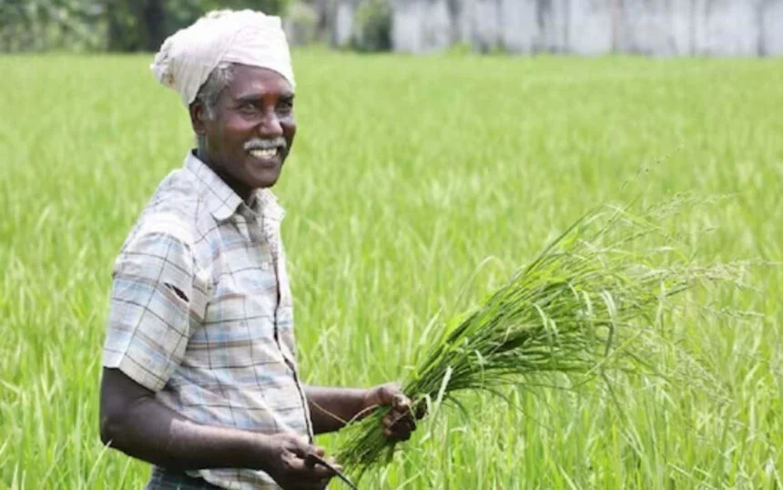 PM Kisan: किसानों के अकाउंट में जल्द आएगी 14वी किस्त, ऐसे कर पाएंगे चेक