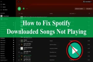 How To Fix Spotify Not Downloading Songs How To Download Spotify Songs